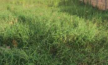 Imagem: Oportunidade de negócio!!