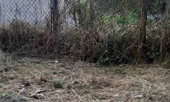 Imagem 6: Terreno em Suzano SP 500 metrôs