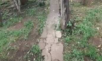 Imagem 4: Excelente Terreno Metro Santana