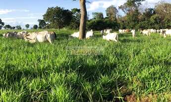 Imagem 3: Vender ou comprar sua chácara ou Fazenda