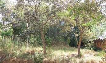 Imagem 2: Terreno - Chácara Santa Margarida - Campinas