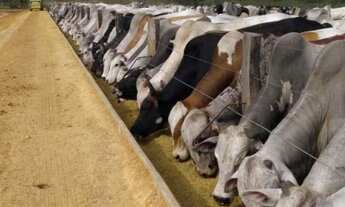 Imagem 5: Fazenda para Venda em Mineiros, Mineirinho