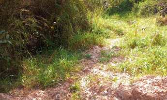 Imagem 4: 03 Lote com área de 360 m² cada um totalizando uma área de 1080m² em São Joaquim de Bicas