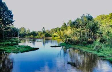 Imagem 4: Terreno para construir seu rancho em Ibiúna SP