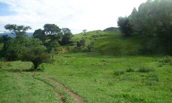 Imagem 5: Terreno de 270 ha para pecuária - ImaruíSC
