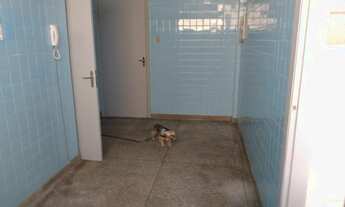 Imagem 4: Apartamento com 2 dormitórios para alugar, 70 m² por R$ 1.100/mês - Cambuí - Campinas/SP