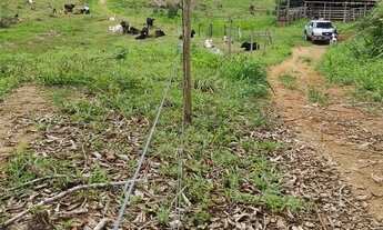 Imagem 6: 12 alqueires de terra