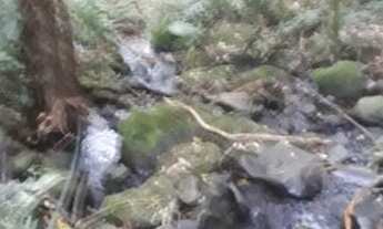 Imagem: Vendo chácara em canela