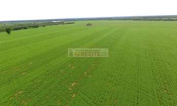 Imagem 7: Vender ou comprar sua chácara ou Fazenda