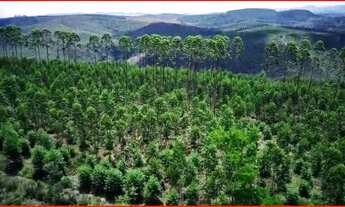 Imagem: Sitio 70 hectares - Catuji - MG - Casa