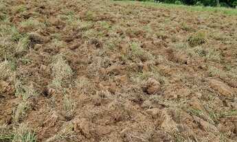 Imagem 5: Sítio 20.000m2 ARTUR NOGUEIRA a 2,5 km da cidade oportunidade ótima localização