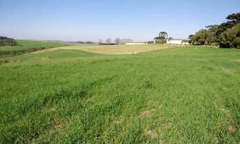 Imagem 7: Lapa - 433Hectares - Plantio 100 alqueires