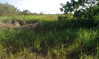 Imagem: Terreno estrada de Humaitá