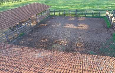 Imagem 7: PRESIDENTE BERNARDES - RURAL - Zona Rural