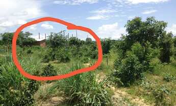 Imagem 4: Lote agrotins 8mil metros quadrados