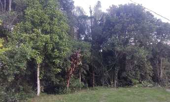 Imagem 6: Chácara 97 mil reais baixou 11 9 3329-5660