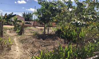 Imagem 3: Oportunidade imperdível Terreno á venda !