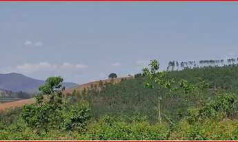 Imagem 4: Sitio 70 hectares - Catuji - MG - Casa, Energia, Internet, Água ,Eucaliptos