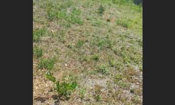 Imagem 2: Lote Terreno / lote com venda por R$36.000