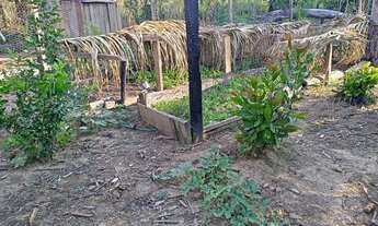 Imagem 7: Sitio medindo 450 de frente por 700 de fundo