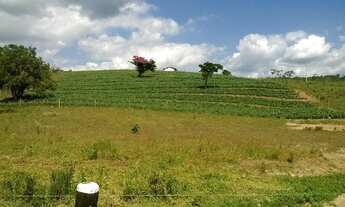 Imagem 4: Fazenda para venda. Com 1.419 ha em Jequitibá - Mundo Novo - BA