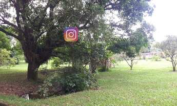 Imagem 5: Fazenda/Sítio/Chácara para venda possui 10000 metros quadrados com 4 quartos