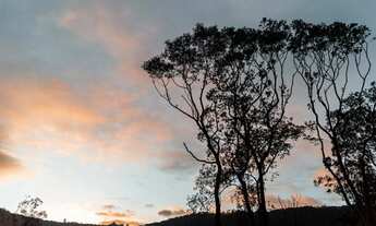 Imagem 4: Gramado - Terreno Padrão - Várzea Grande