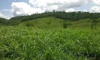 Imagem 5: Fazenda para venda. Com 1.419 ha em Jequitibá - Mundo Novo - BA
