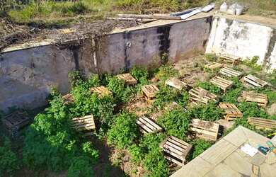 Imagem 2: Sítio Itupeva investimento 2 dormitórios à venda, 12500 m² por R$ - Japi - Itupeva/SP