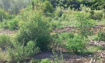 Imagem 5: Oportunidade de sítio com escritura individual