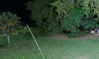 Imagem 1: Vendo sítio Chácara com venda por R$800.000