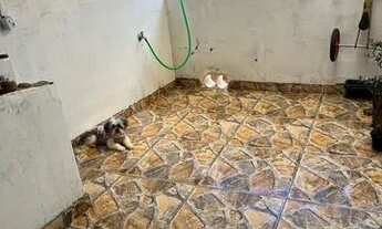 Imagem 6: Casa 4 cômodos Casa com 2 dormitórios