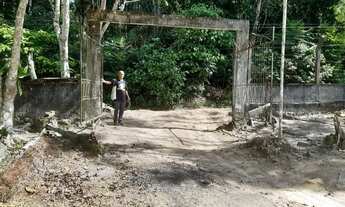 Imagem: Manaus Itacoatiara, AM 010 Km 32, Ramal