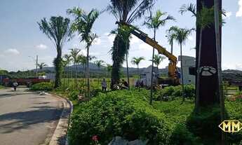 Imagem 3: Terreno disponível para à venda próximo a Vargem Do Bom Jesus, Florianópolis, SC