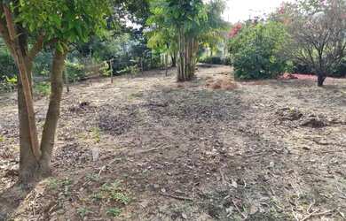 Imagem 4: Terreno em Bofete
