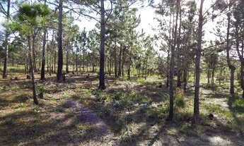 Imagem 2: Terreno próprio para investimento