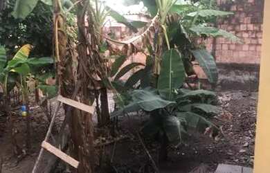 Imagem 2: Vendo casa no bairro terra nova