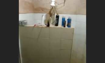 Imagem 5: Casa com 3 dormitórios à venda em Igarapé