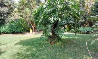 Imagem 4: Casa com 4 dormitórios à venda em Igarapé