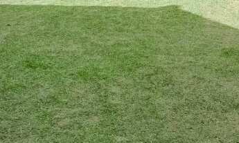 Imagem 6: Casa tipo sítio local nobre no Samambaia com muita área verde