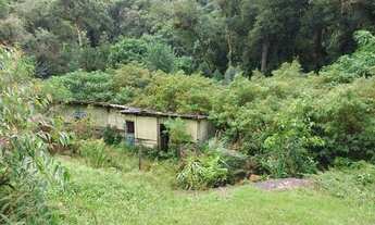 Imagem 5: Chácara 8 mil metros Campina grande do sul