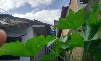 Imagem 7: Terreno 300 m2 casa de brinde