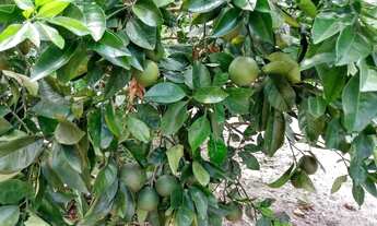 Imagem 3: Vendo ou troco por casa em Aracaju