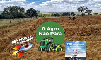 Imagem 6: Fazenda 91 Alqueires No Goiás