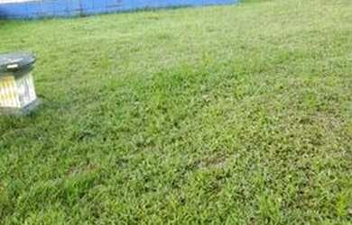 Imagem 2: Vendo pequeno sítio