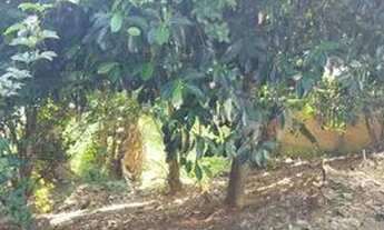 Imagem 2: Troco em carro ou valor em dinheiro podendo conversar