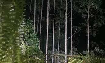 Imagem 7: Aluga-se Chácara em Santa Leopoldina