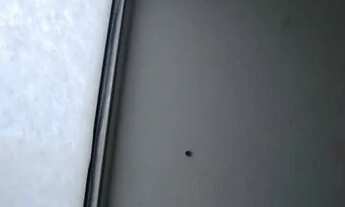 Imagem 4: Apartamento com 2 dormitórios para alugar em Belo Horizonte