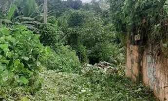 Imagem 4: Terreno em Figueiredo