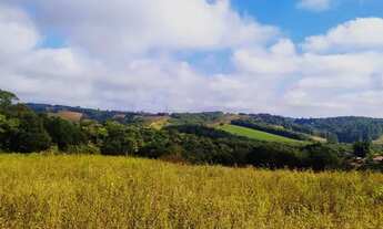 Imagem 3: VENDO TERRENO EM IBIÚNA POR UM PREÇO QUE CABE NO SEU BOLSO